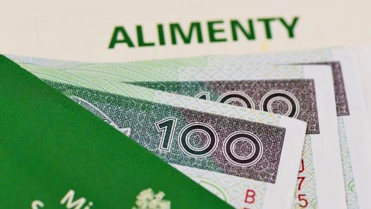 Alimenty a prawo jazdy: Co grozi dłużnikom i jak uniknąć problemów?