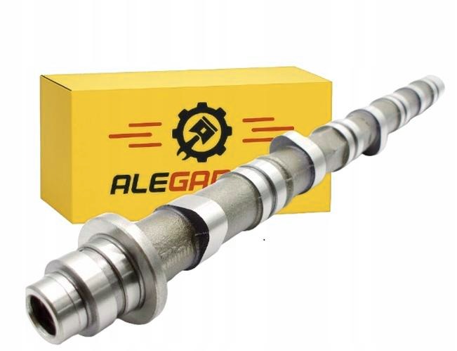 Pasek czy łańcuch rozrządu w Honda CR-V – jak dokonać mądrego wyboru, by zaoszczędzić?